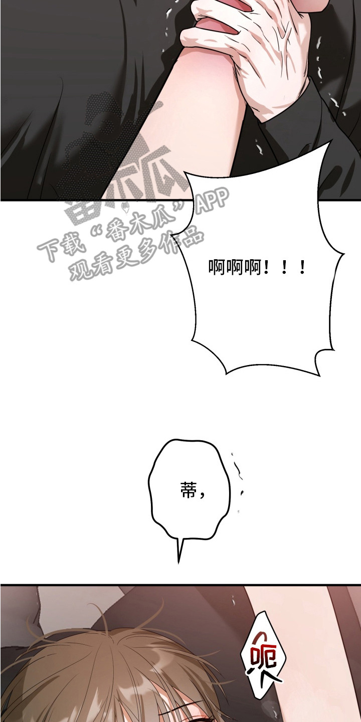 第5话19
