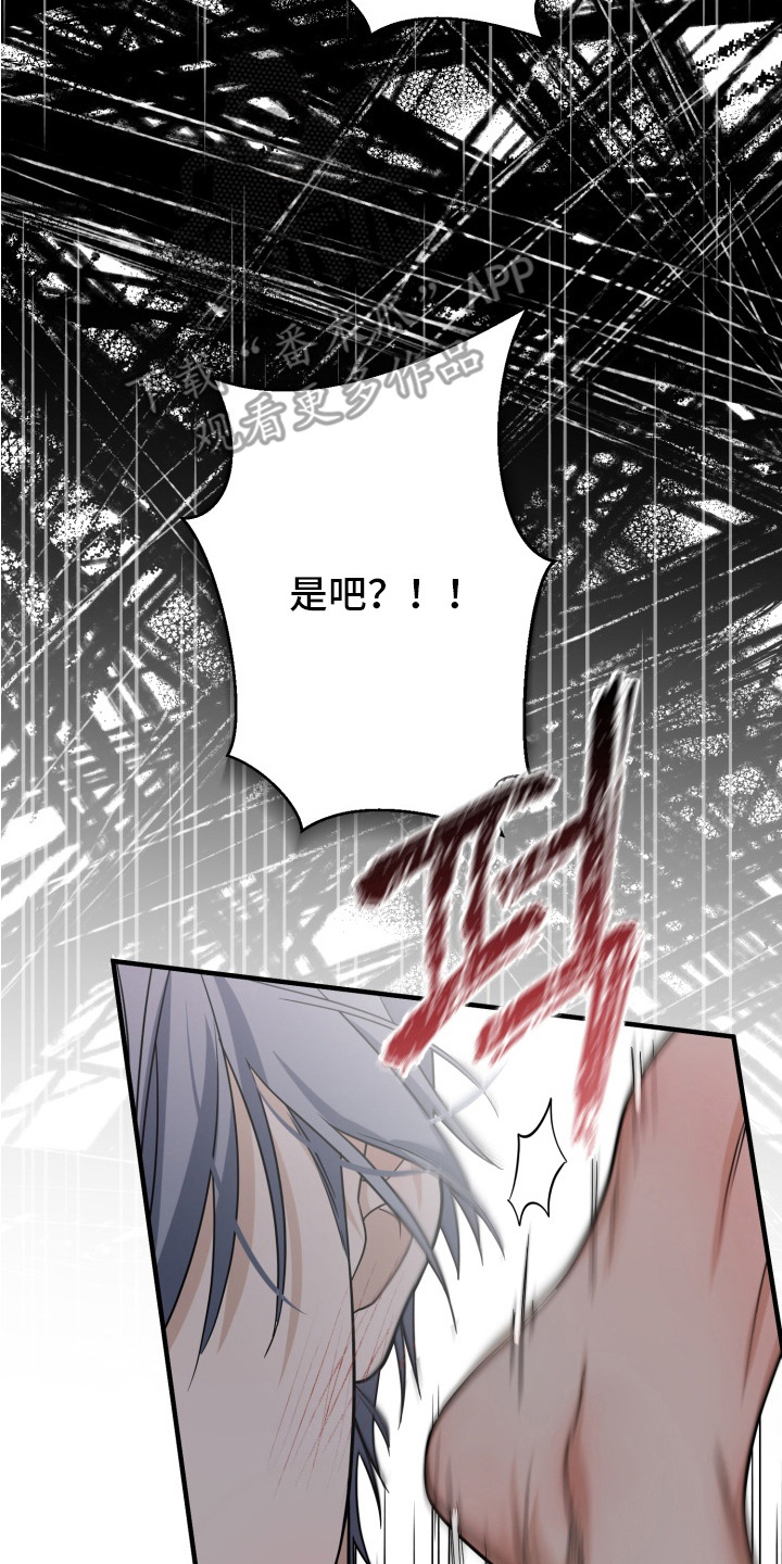 第5话13
