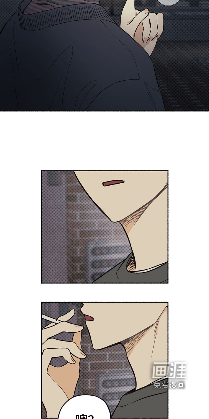 第9话 第10页