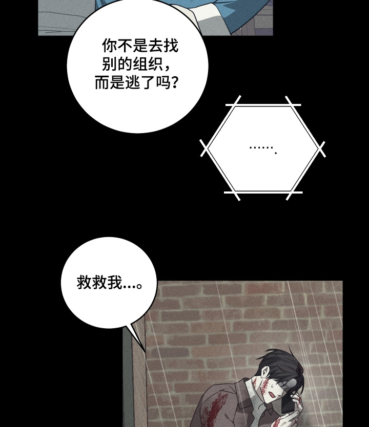 第33话5
