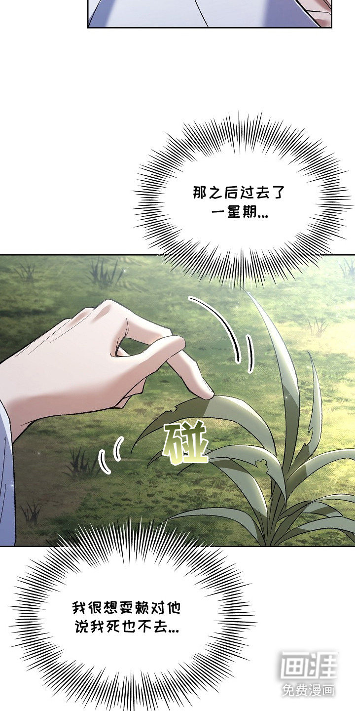 第13话 第4页
