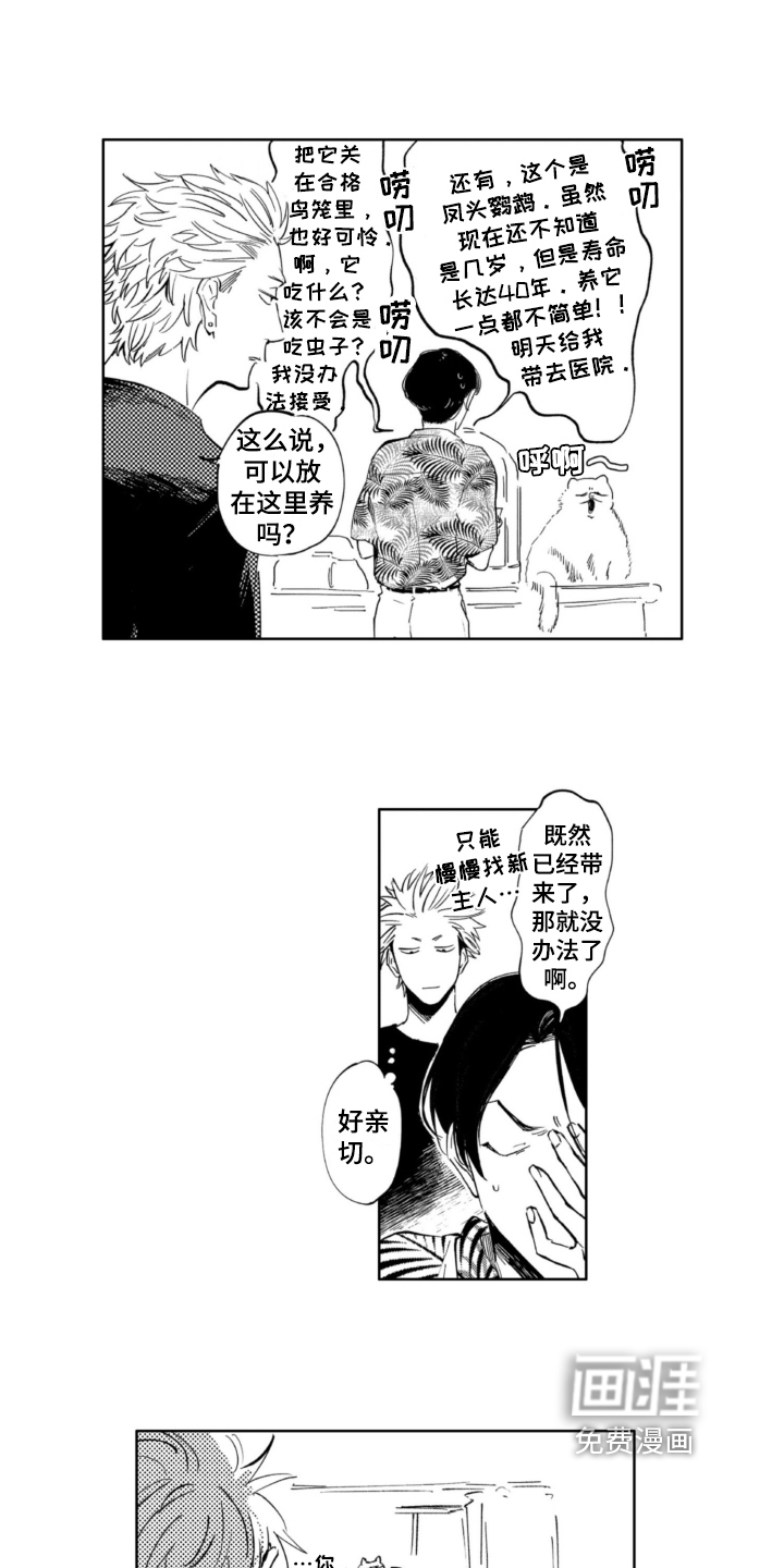 第8话 第11页
