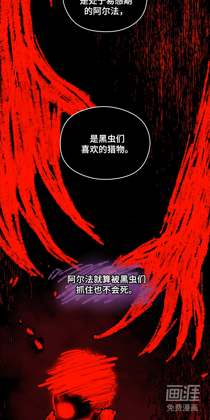 第11话4