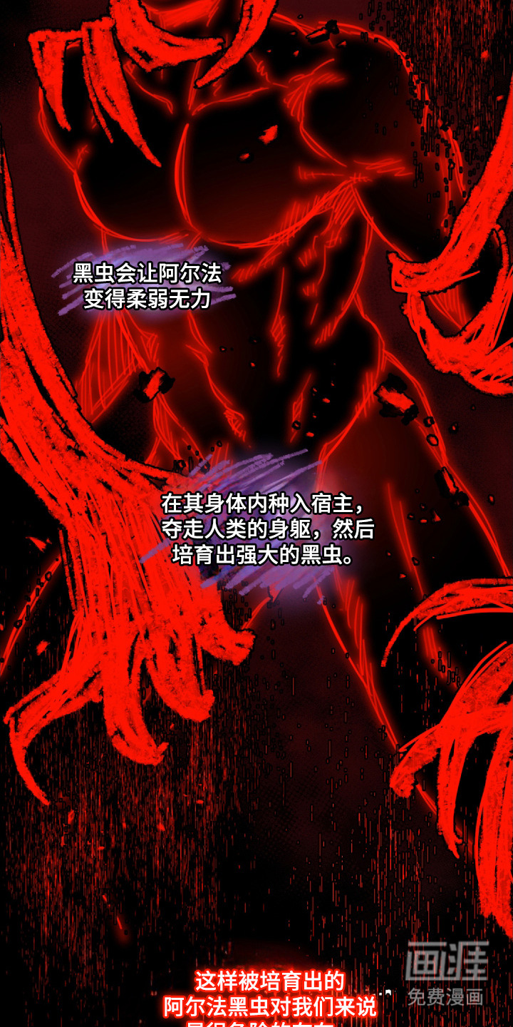 第11话5
