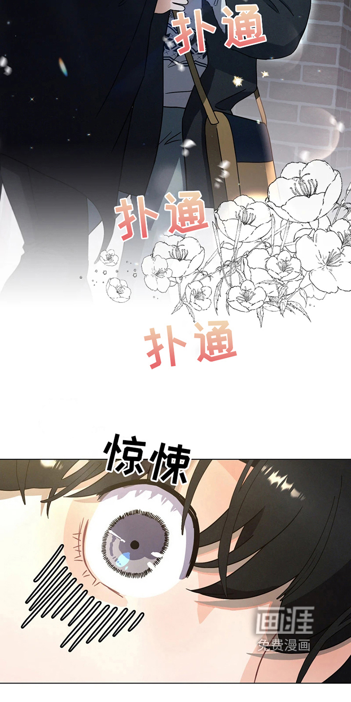 第5话 第11页