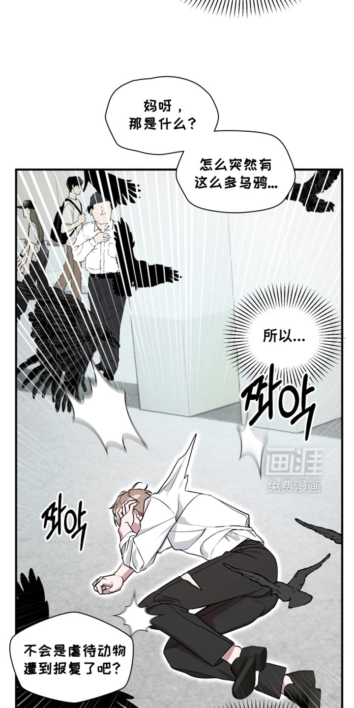 第13话 第5页