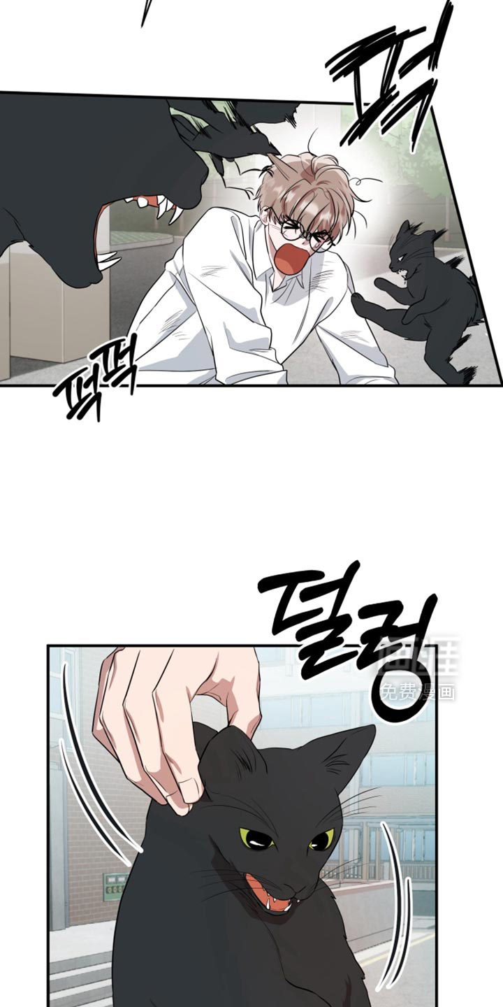 第13话 第10页