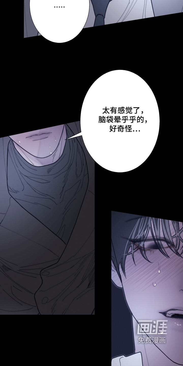 第226话17