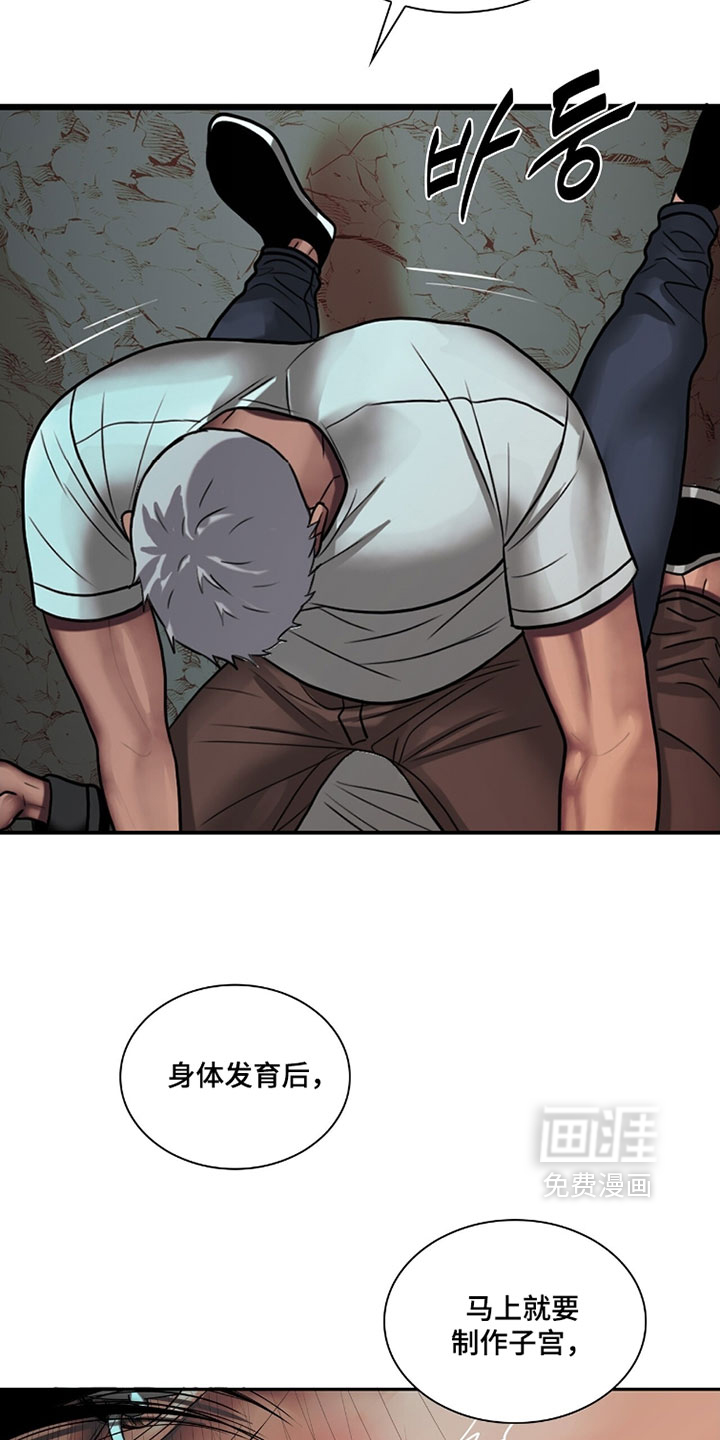 第117话5