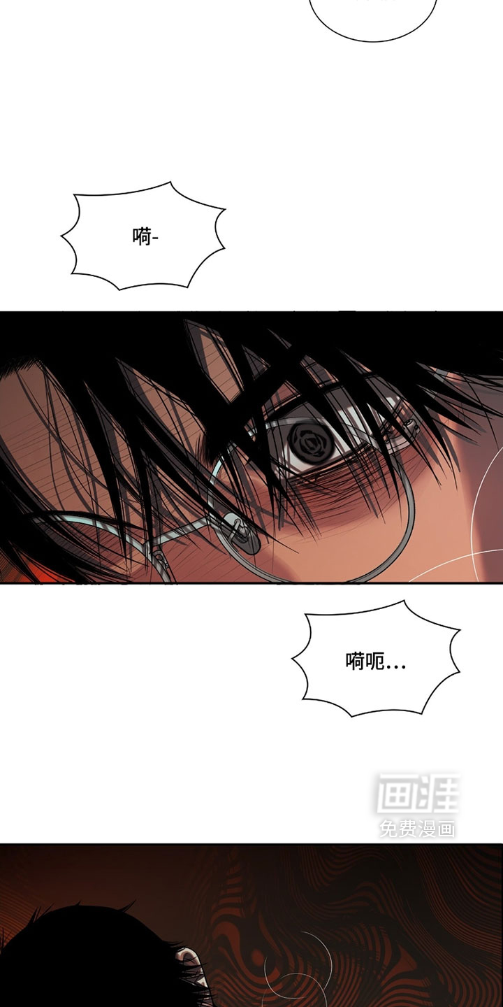 第117话3