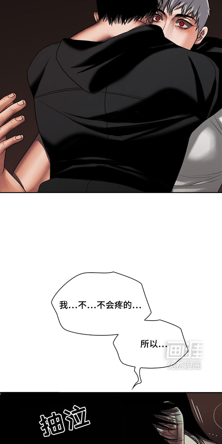 第117话13
