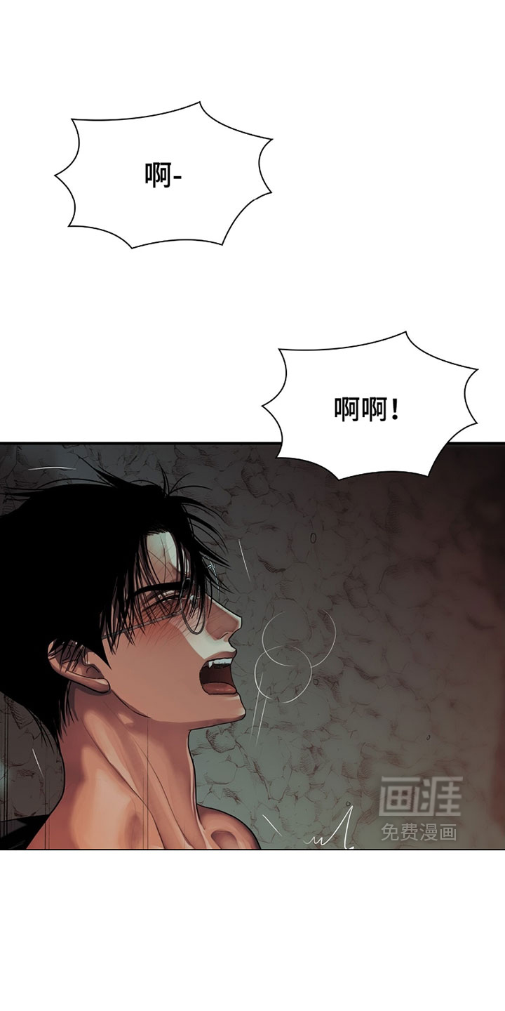 第117话0