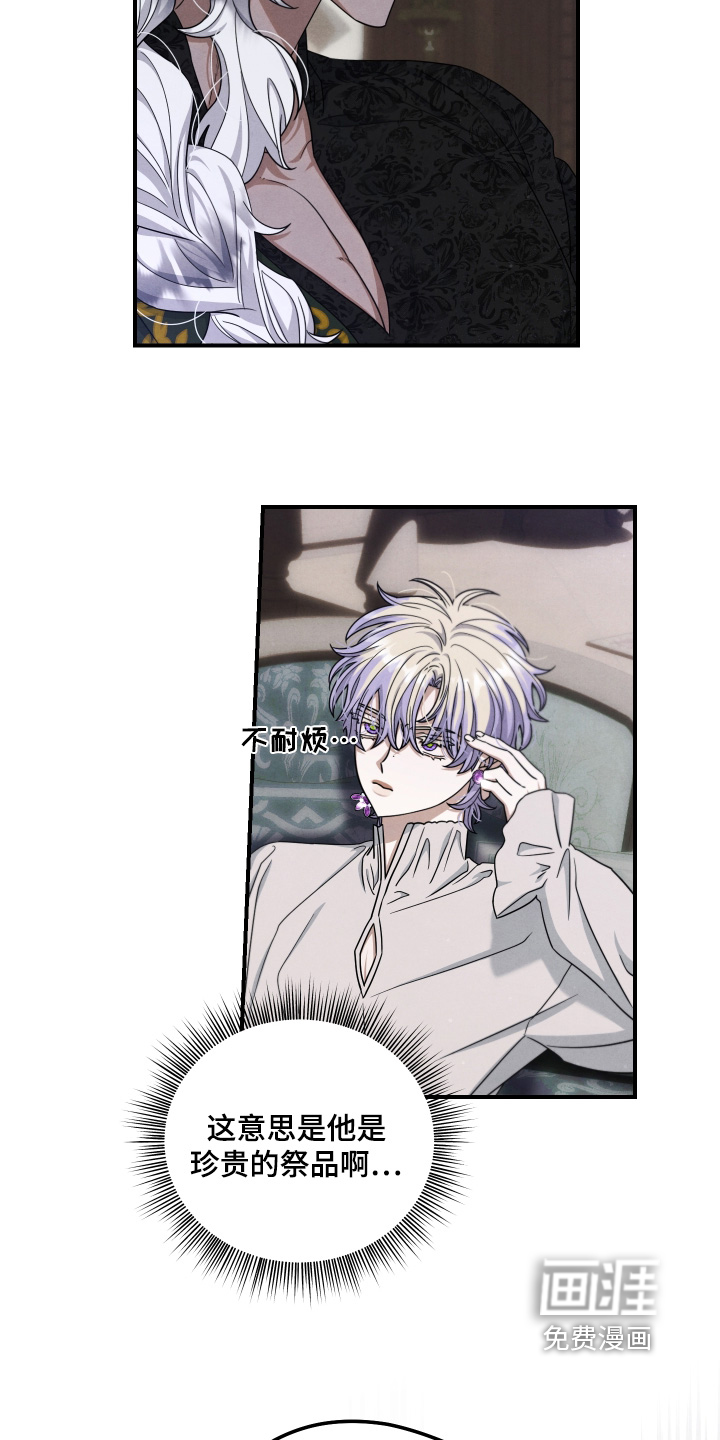 第39话 第17页