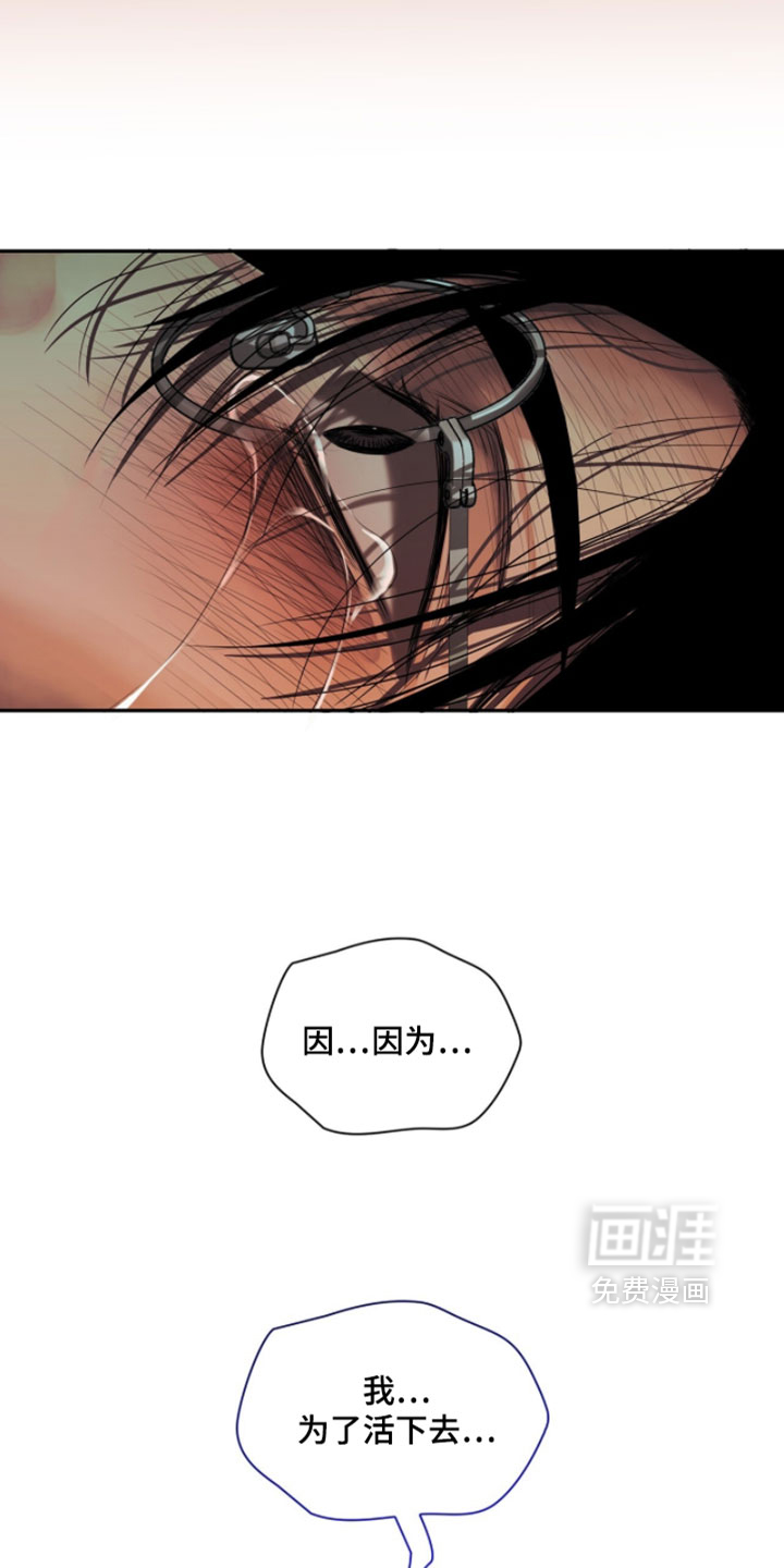 第118话11