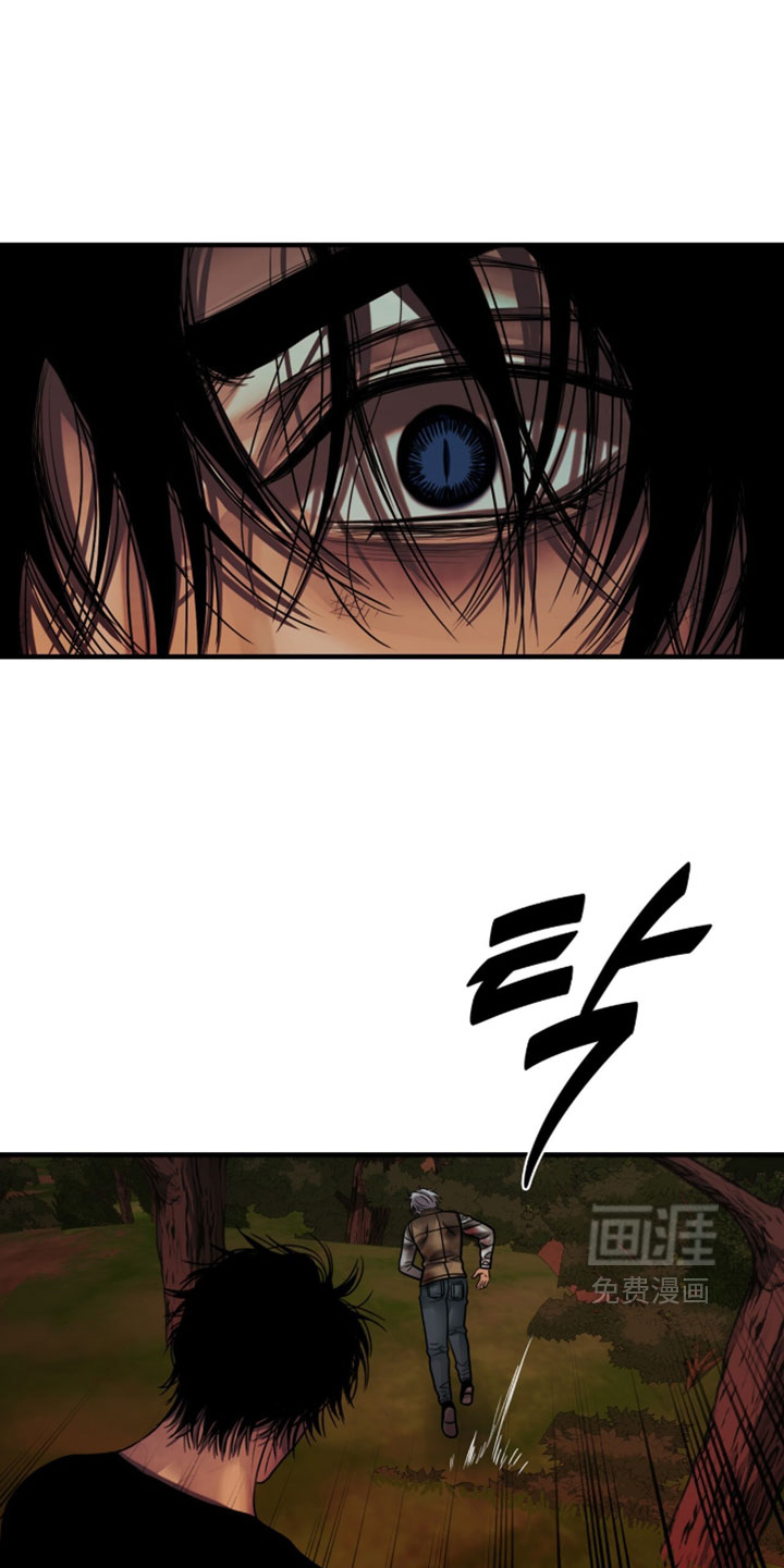 第120话0