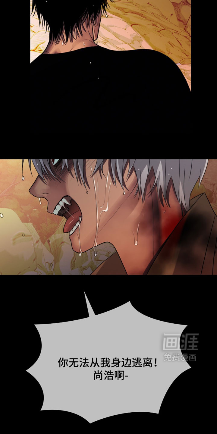 第119话11