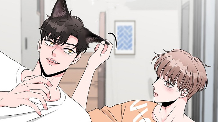 猫猫初体验漫画封面