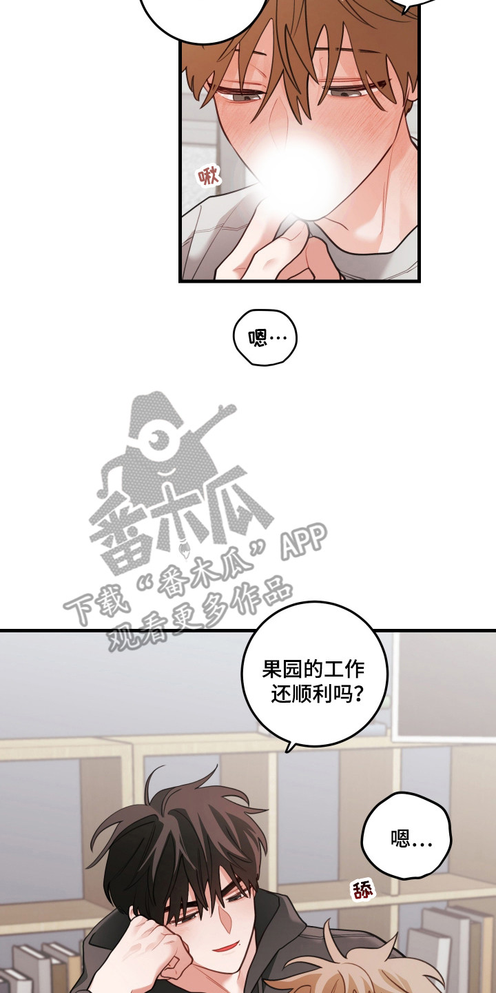 第180话1