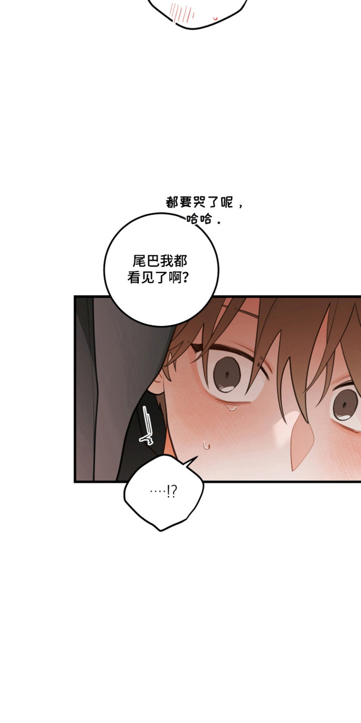 第181话18