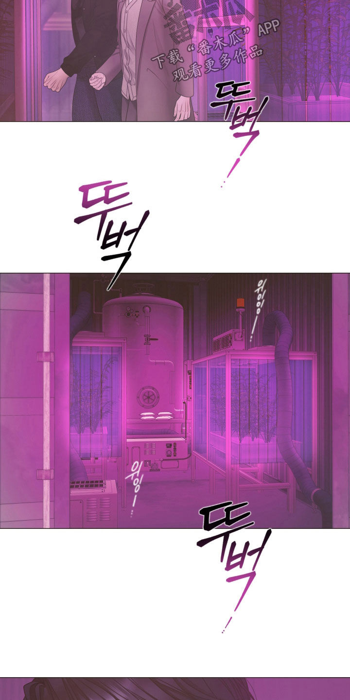 第162话19