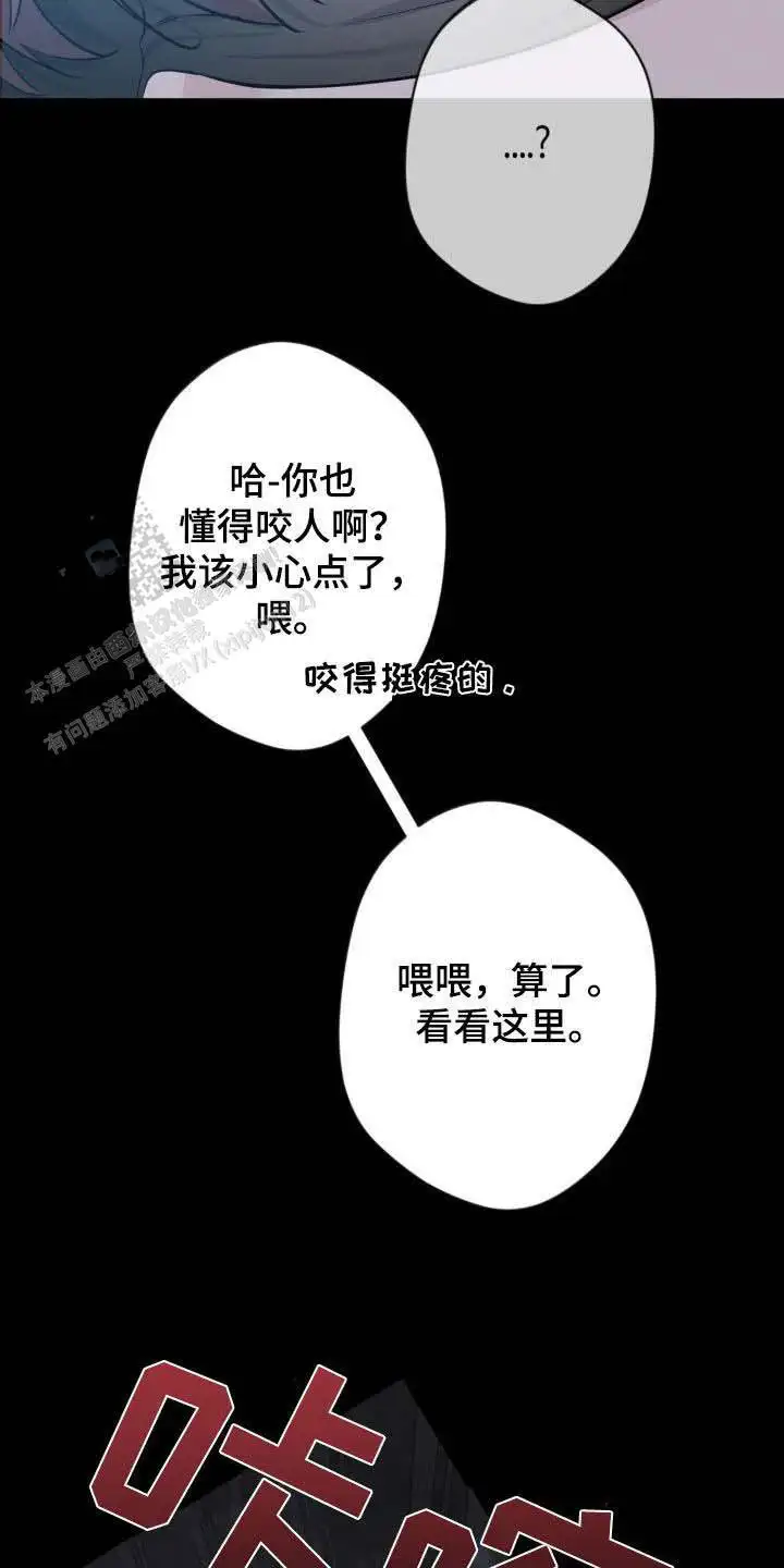 第41话17