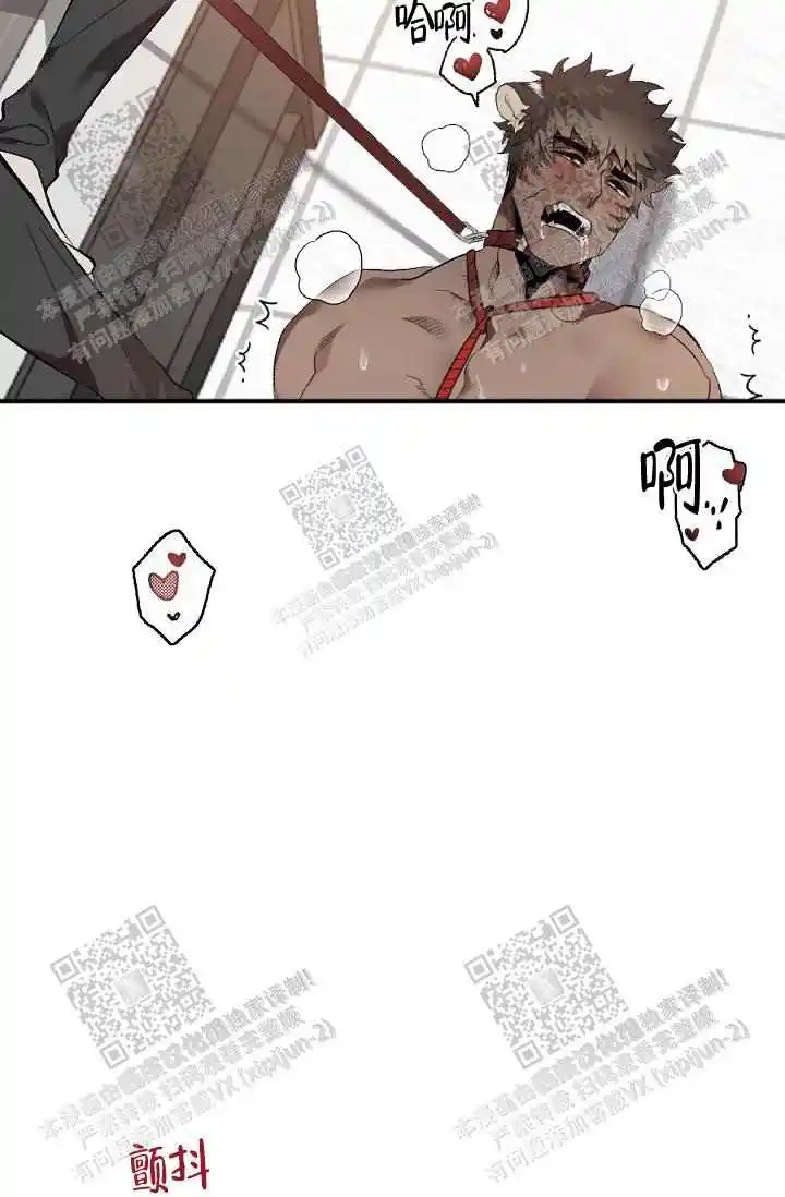第10话5