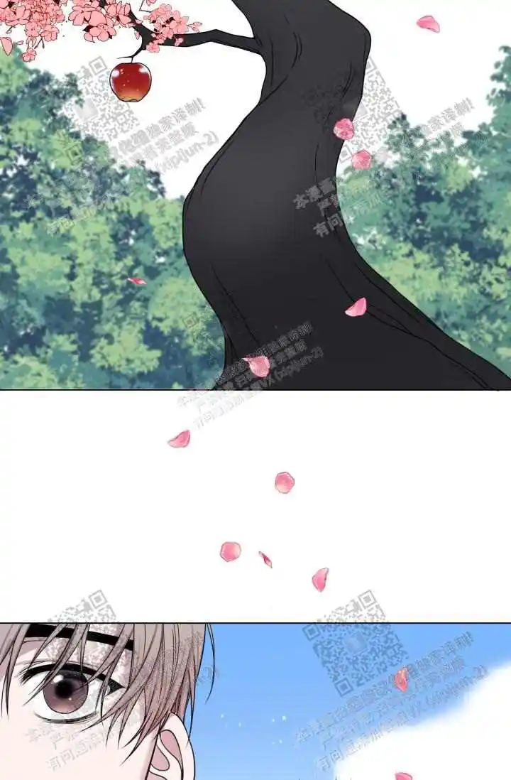 第13话2