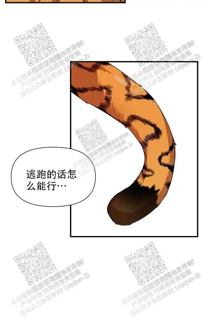 第25话25