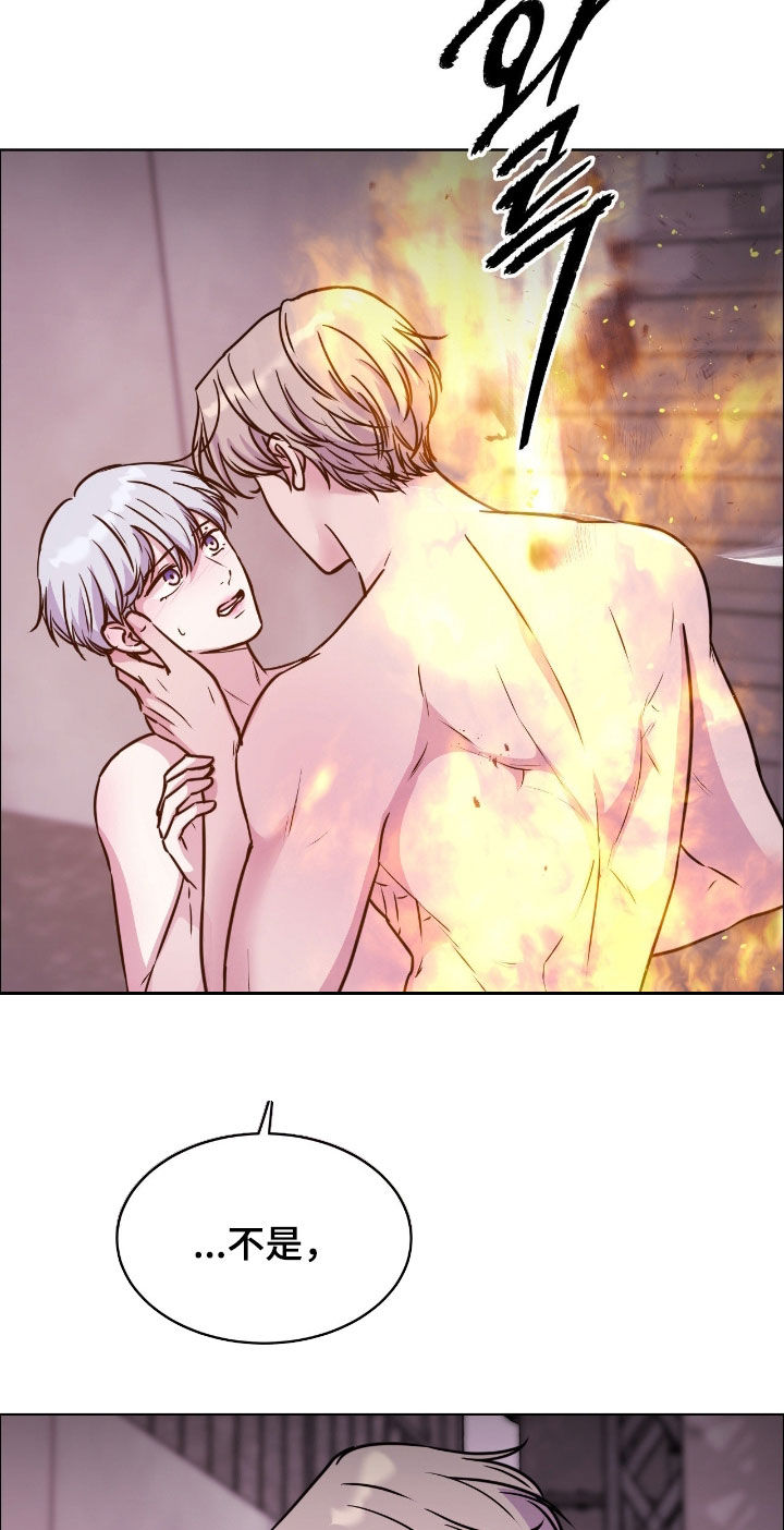 第146话12