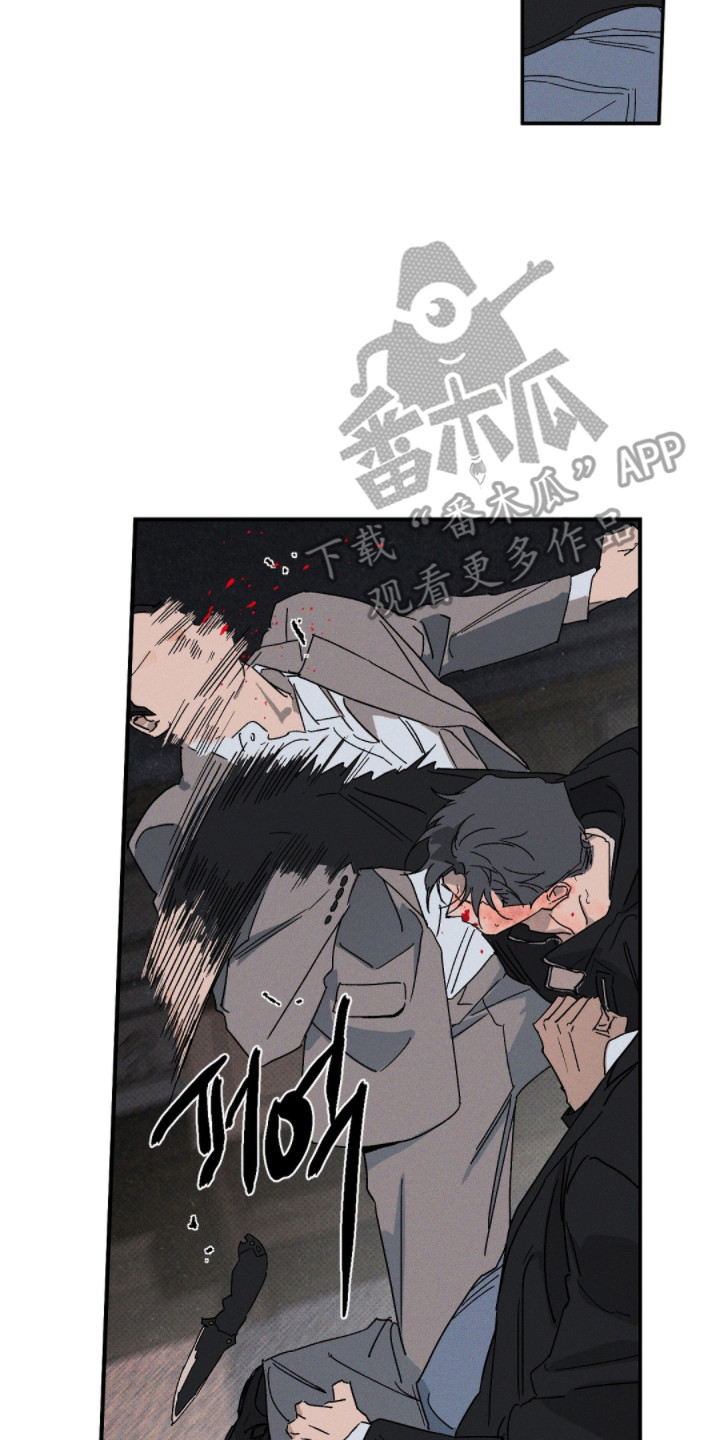 第167话14