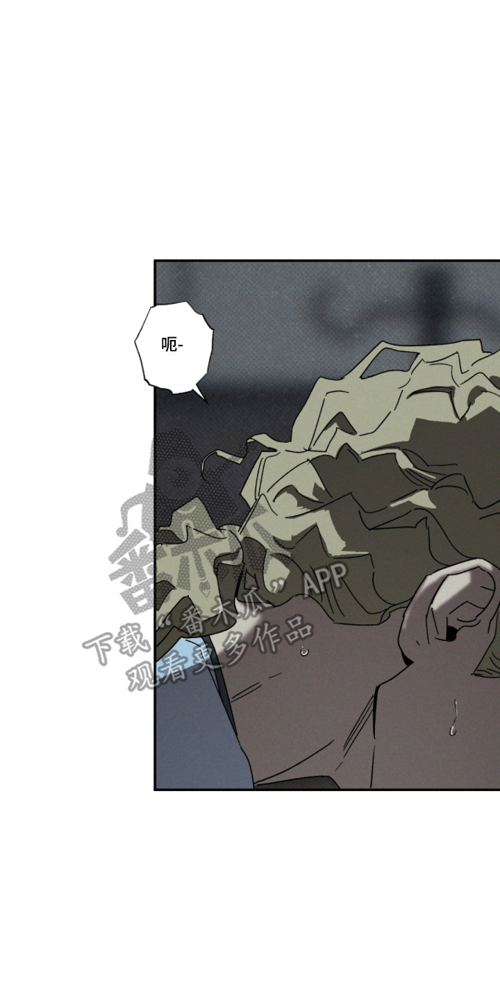 第171话14