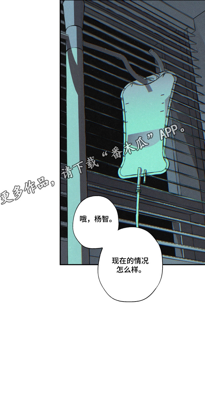 第186话17