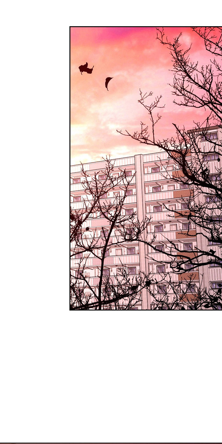 第120话0
