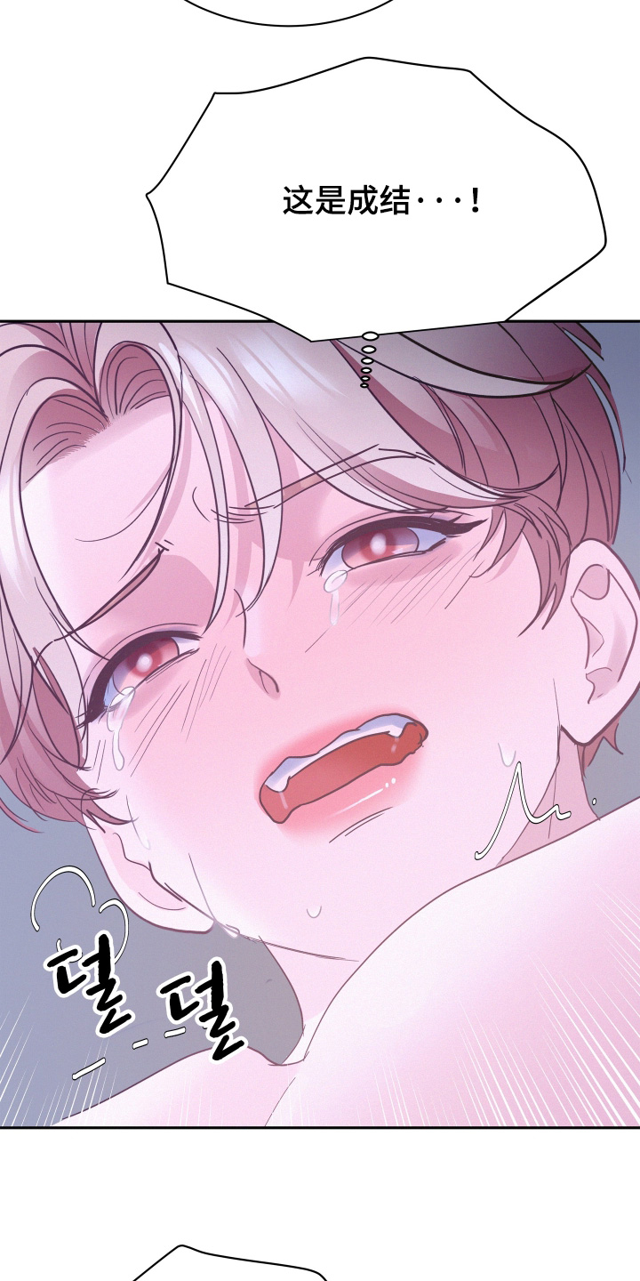 第210话20