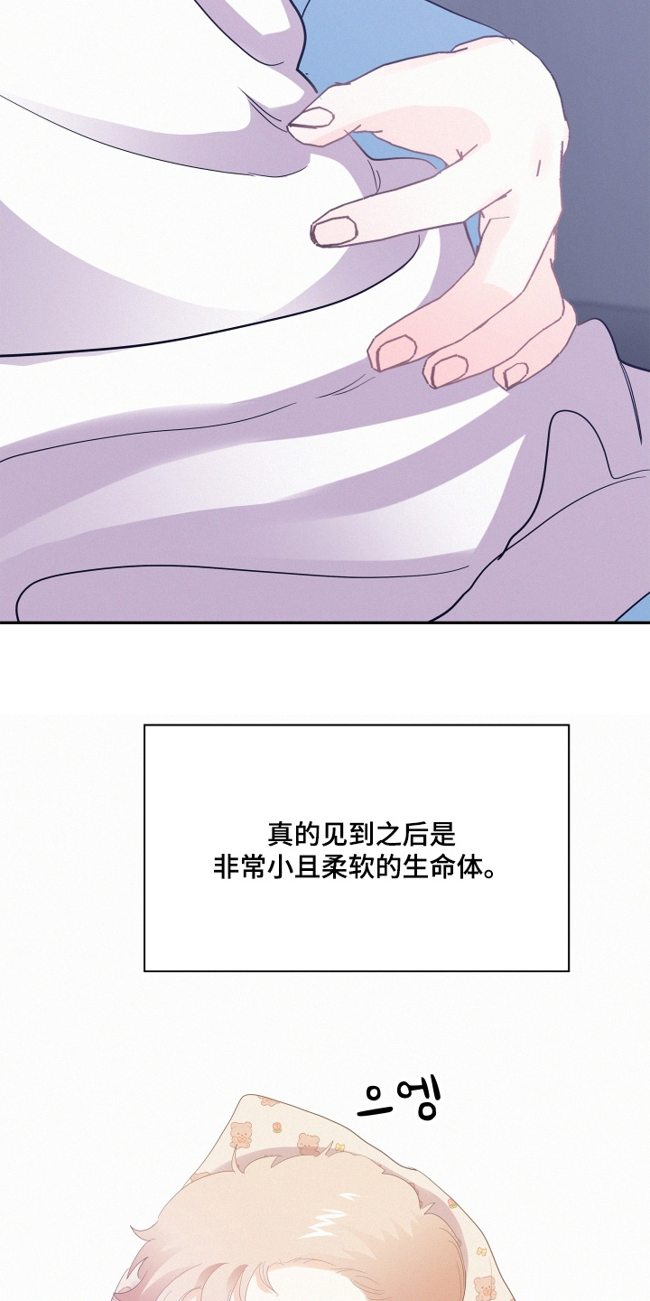 第211话12