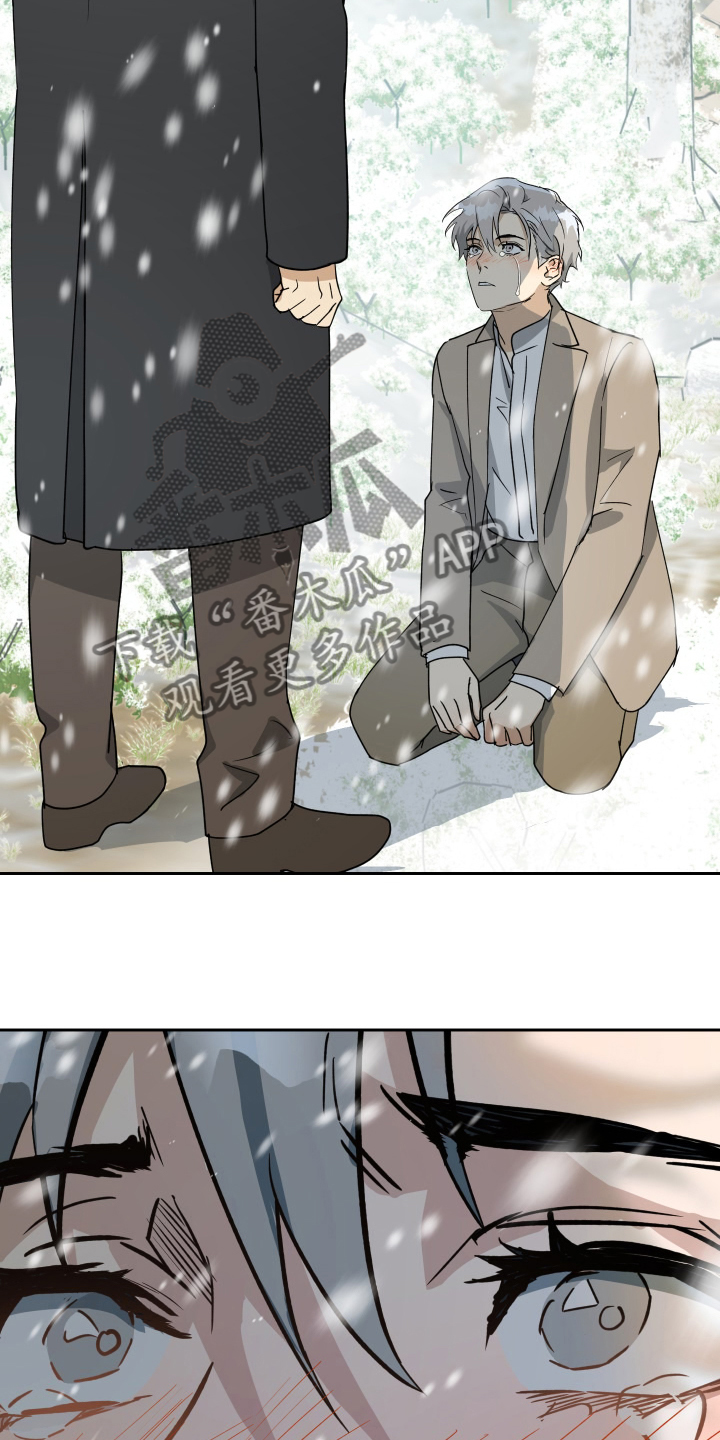 第95话13