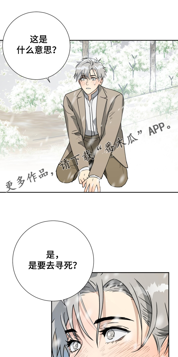 第95话0