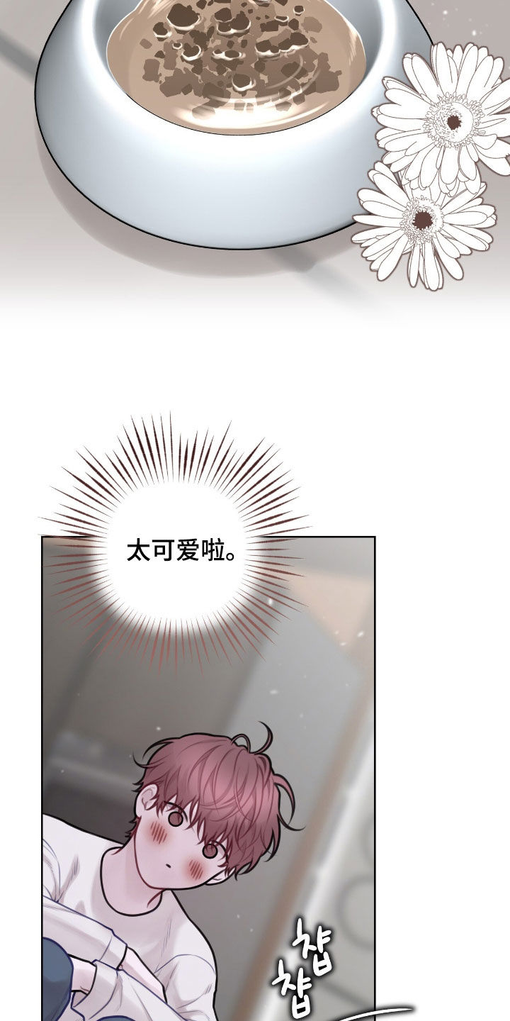 第95话5