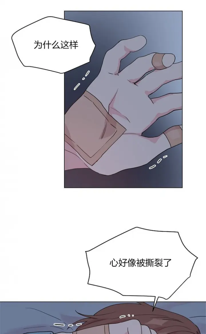 第119话15