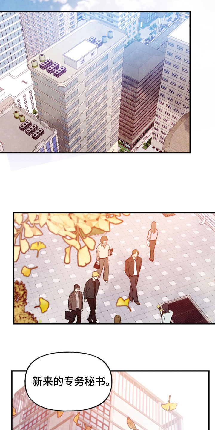 第204话1