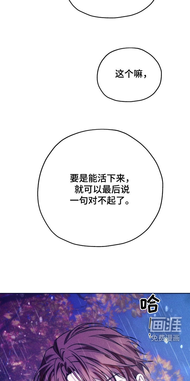 第205话12