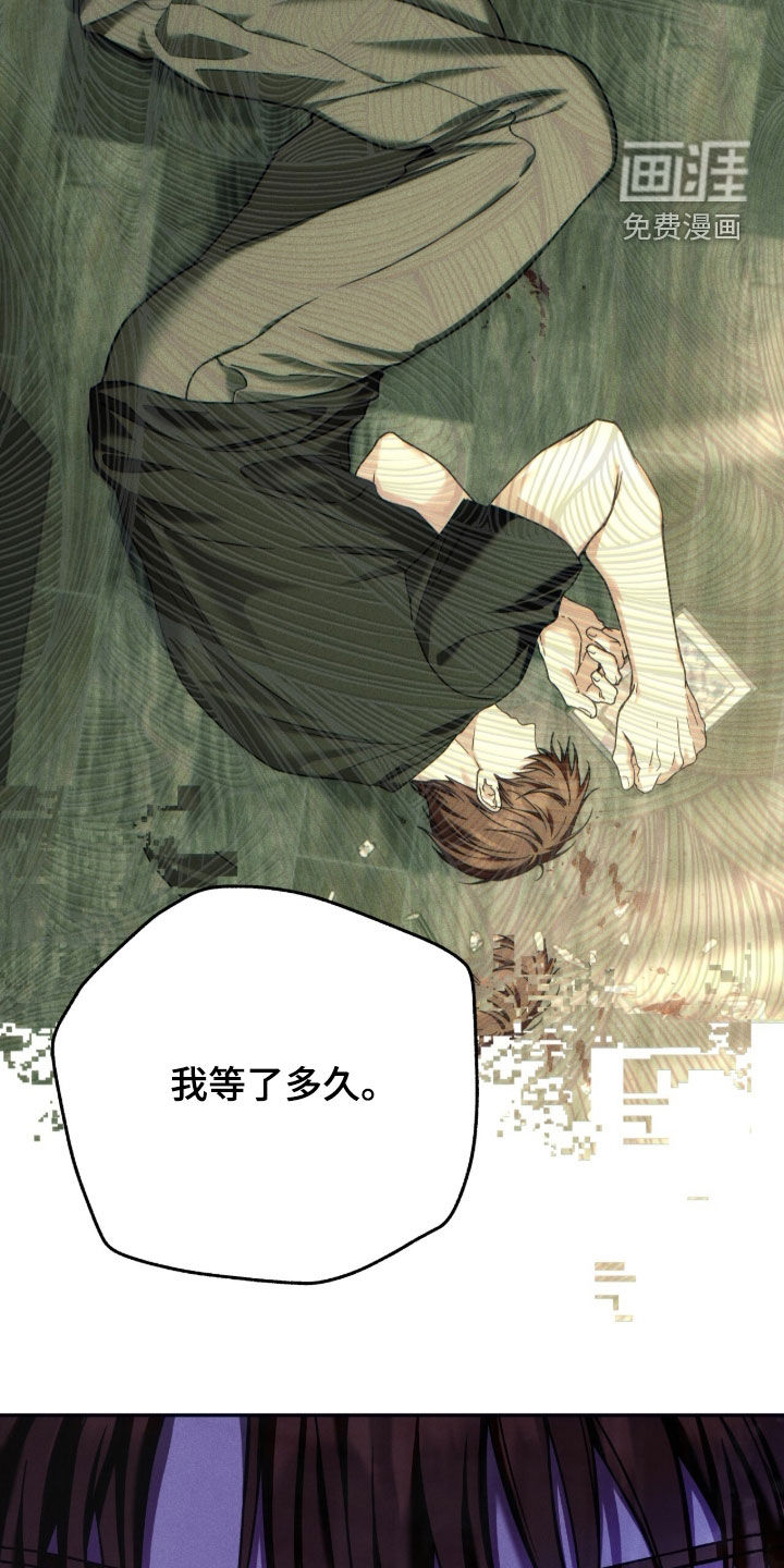 第210话5