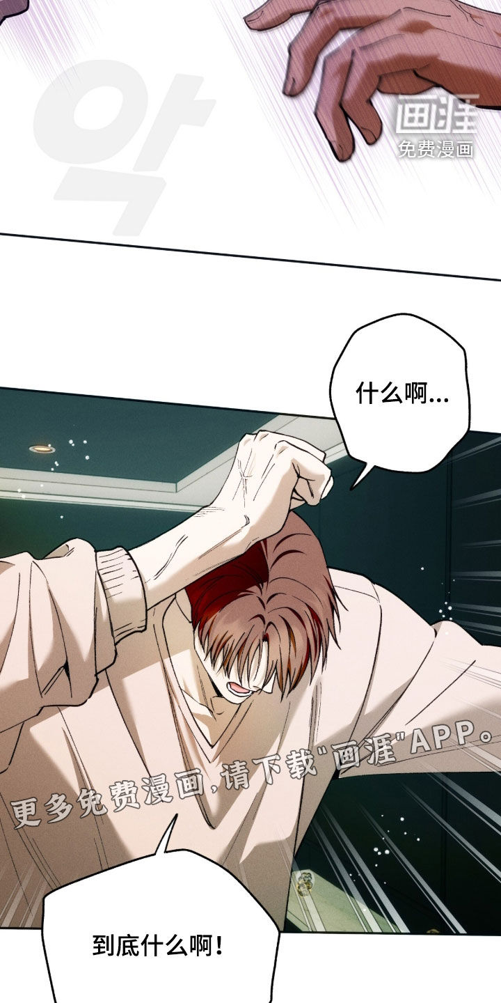 第210话2