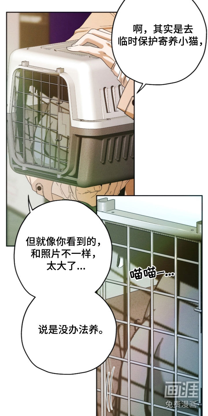 第216话21
