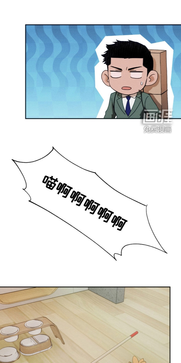 第216话13