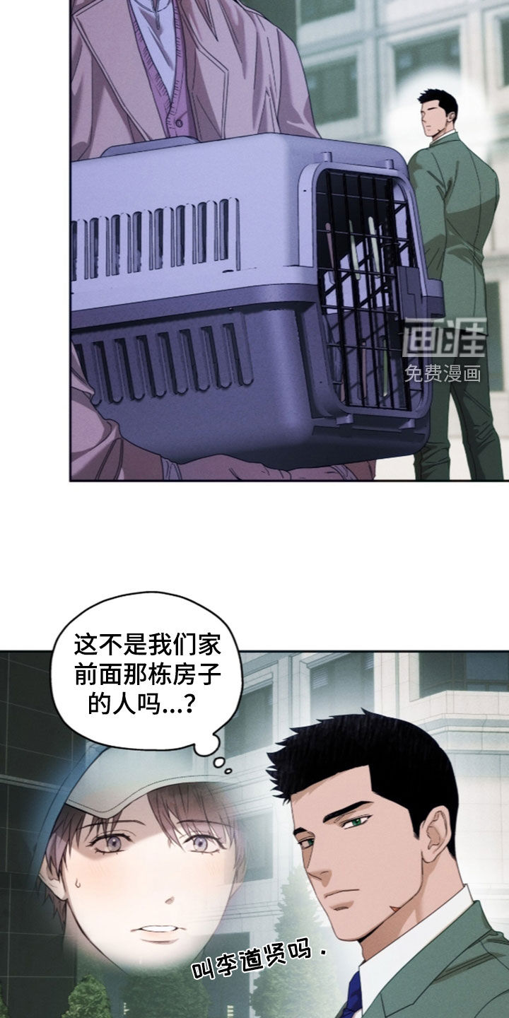 第216话17