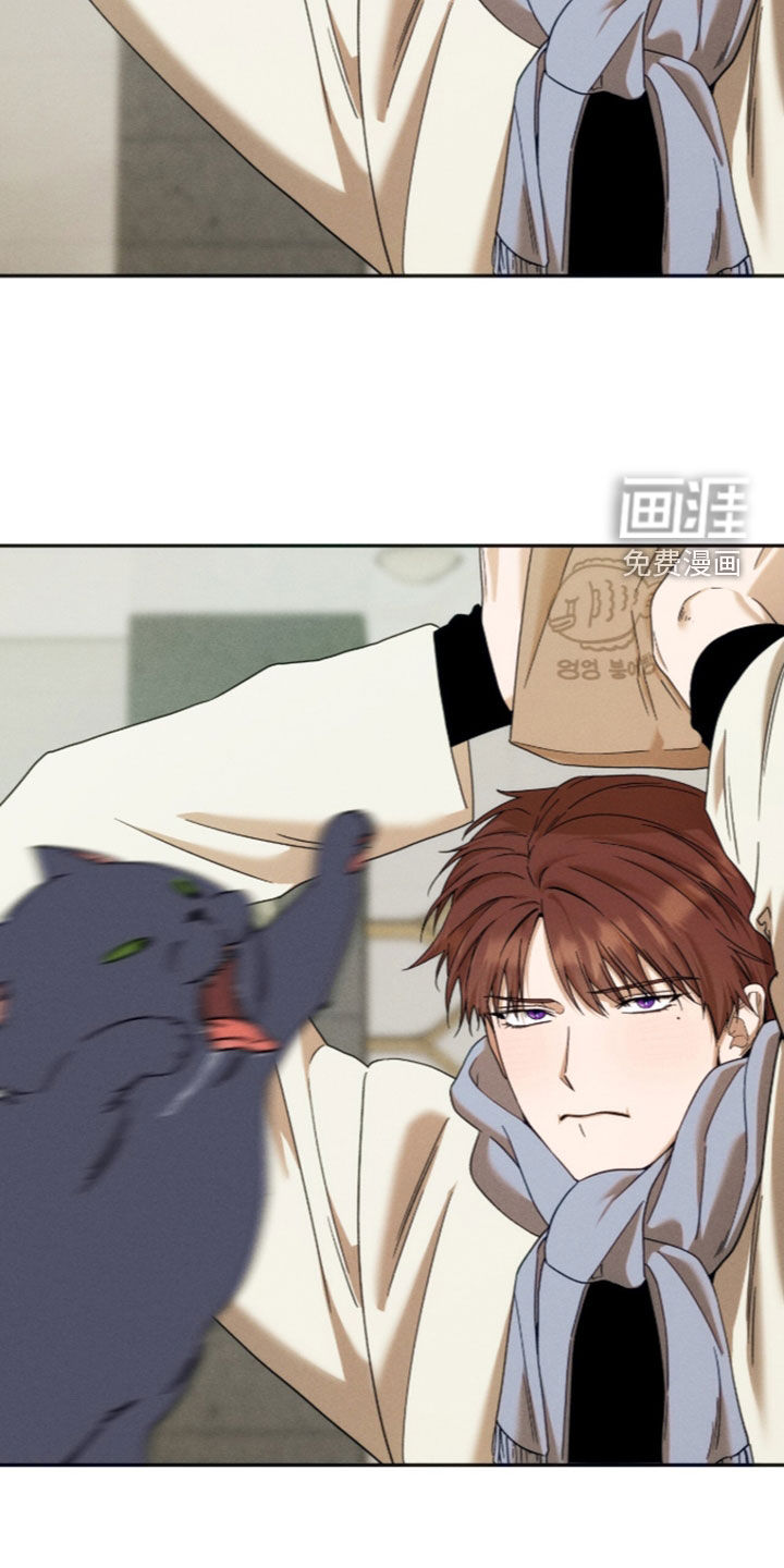 第216话12
