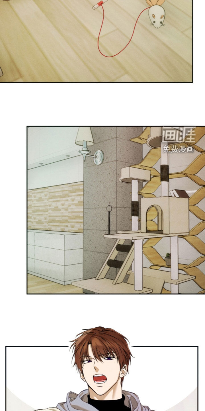 第216话14