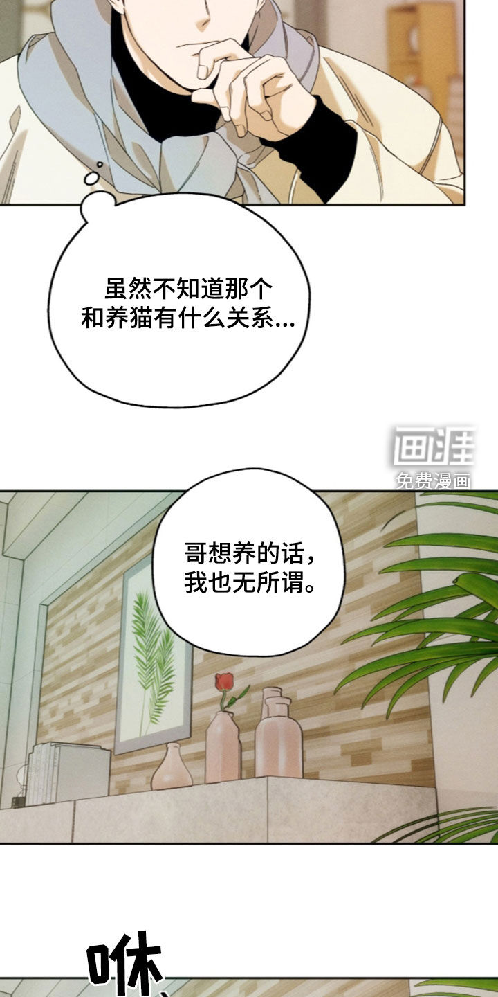 第217话3