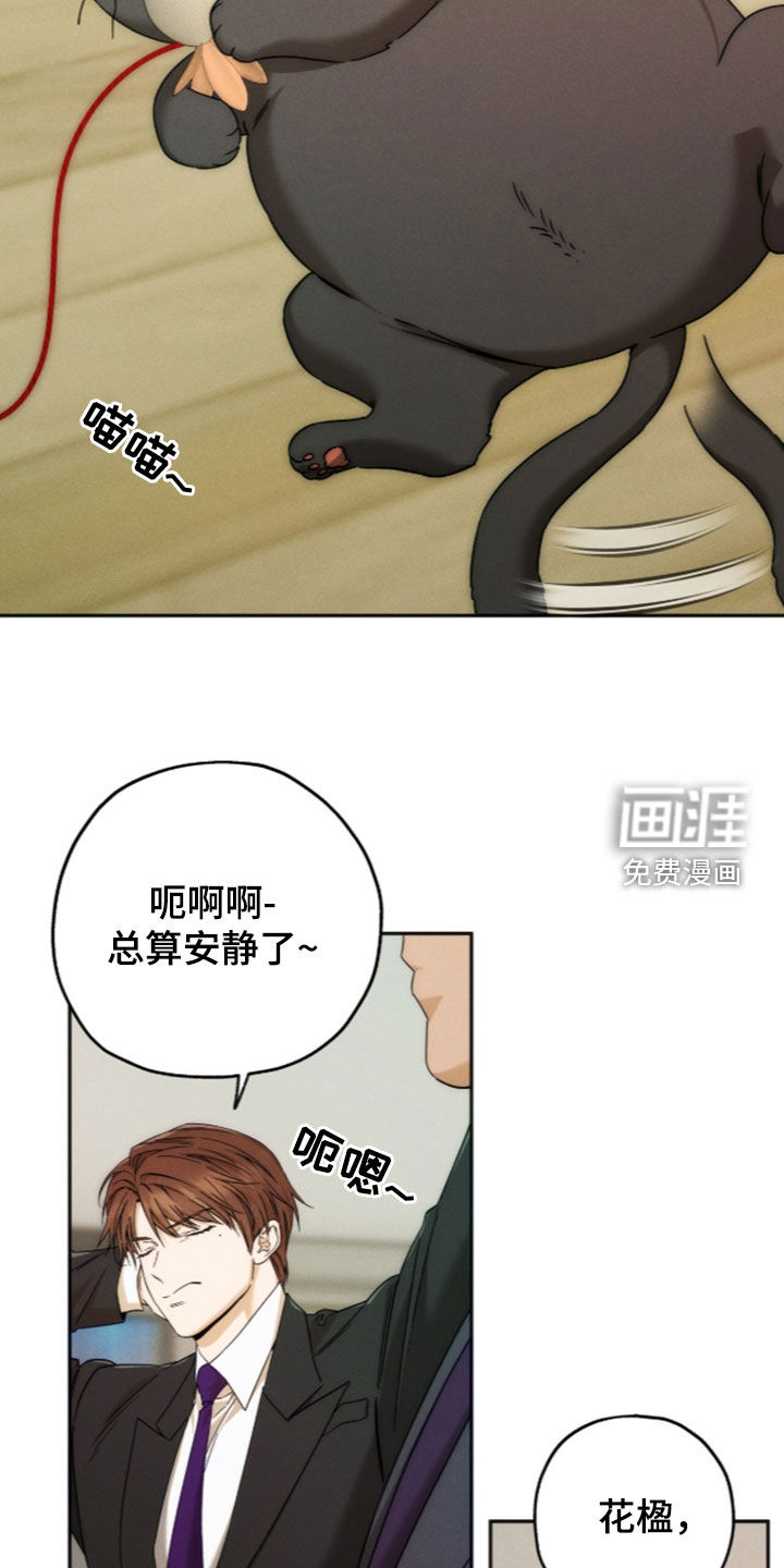 第217话21